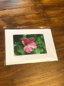 Photography Note Cards Flowers