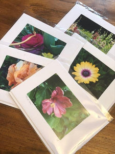 Photography Note Cards Flowers